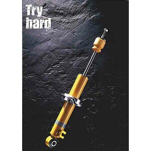 BILSTEIN - Ammortizzatori Sprint Fiat Bravo 199509> - BILSTEIN Fiat Bravo 1995 > Tutti_i_modelli Escluso_155_Hgt,_155_Hgt_Sport_Pack - Ammortizzatori