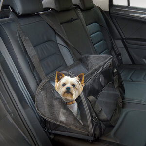 OSSO - Trasportino - OSSO - Trasportino