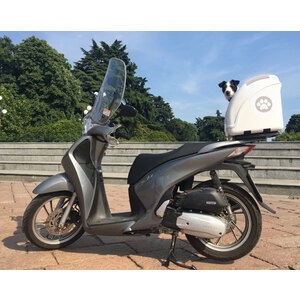 PET ON WHEELS - Trasportino POW - PET ON WHEELS - Trasportino