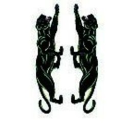Adesivi Panther GAT