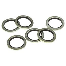 Guarnizione tappo coppa olio AUTOBEST
